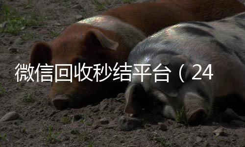 微信回收秒结平台收购微信号（24小时回收微信秒结平台）
